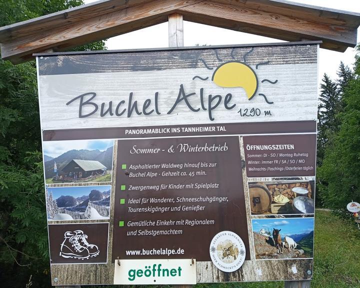 Buchel Alpe